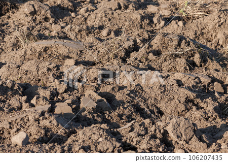 he freshly tilled fields of the farmers 106207435
