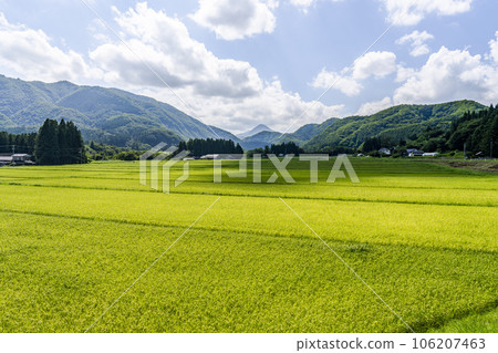 宮城縣仙台市夏季的田園風光 宮城縣仙台市夏季的田園風光 106207463