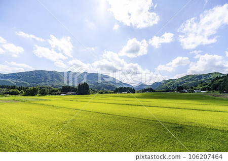 宮城縣仙台市夏季的田園風光 106207464