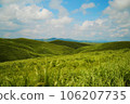 廣闊的草原 106207735