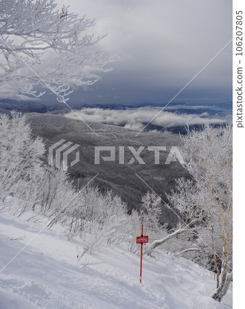Ryuoo Ski Park in the coldest winter, frost-covered tree dropping course and ski area boundaries 106207805