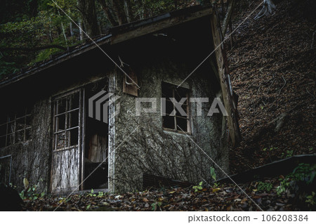 Abandoned house standing quietly in the forest 106208384