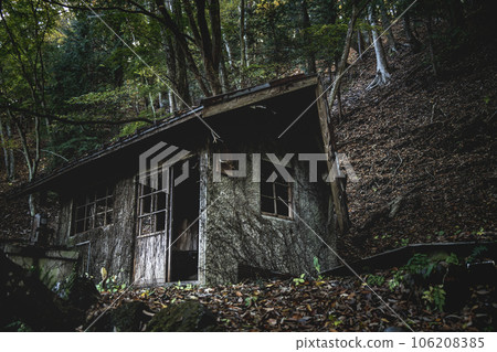 Abandoned house standing quietly in the forest 106208385