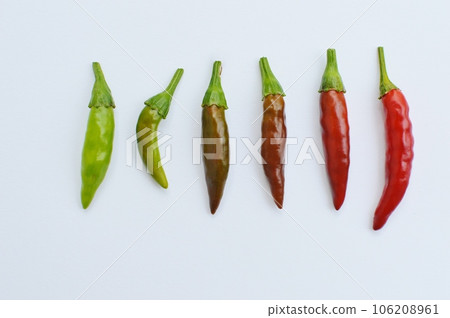 Pepper fruit gradually turning red 106208961