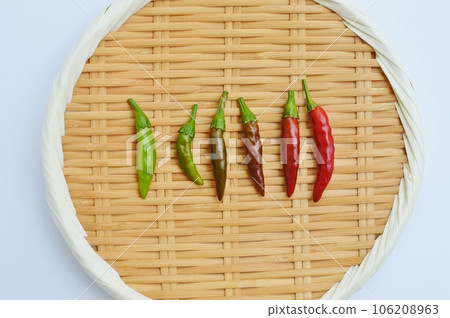 Pepper fruit gradually turning red 106208963