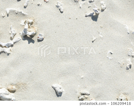 on the white sandy beach 106209418