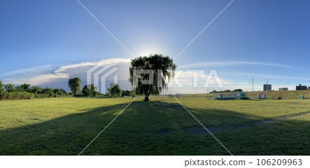 有大樹的風景 106209963