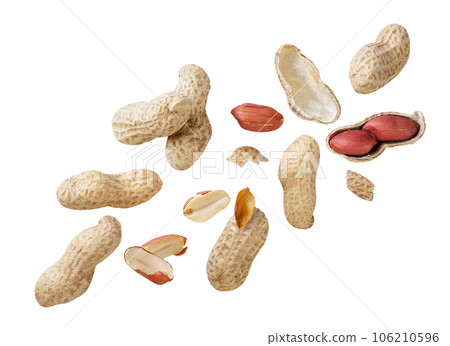 Nuts peanuts in shell and without are flying on a white. Isolated 106210596