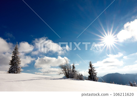 Fantastic winter landscape. Carpathian, Ukraine, Europe. Beauty world 106211620