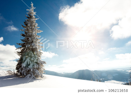 Fantastic winter landscape. Blue sky. Carpathian, Ukraine, Europe. Beauty world Fantastic winter landscape. Blue sky. Carpathian, Ukraine, Europe. Beauty world 106211658