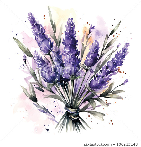 Purple lavender bouquet watercolor in retro style on white background. Purple lavender bouquet watercolor in retro style on white background. 106213148