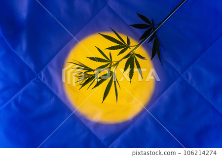 Night background with moonlight, hemp branch for insomnia cannabis products 106214274