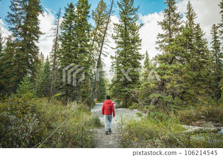 Traveler man walking through pine forest to mountain in autumn at national park Traveler man walking through pine forest to mountain in autumn at national park 106214545