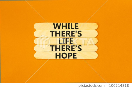 Life and hope symbol. Concept word While there is life there is hope on wooden stick. Beautiful orange table orange background. Business lifestyle life and hope concept. Copy space. 106214818