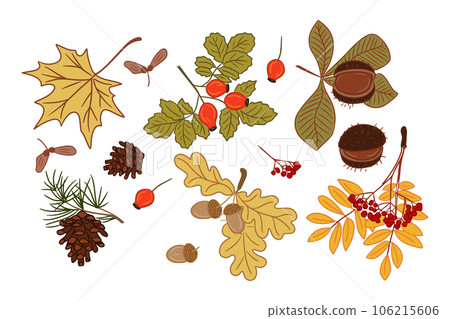 Clipart of autumn flat colored leaves and seeds 106215606