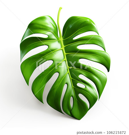 3d monstera leaf isolated on white background. Generative AI 3d monstera leaf isolated on white background. Generative AI 106215872