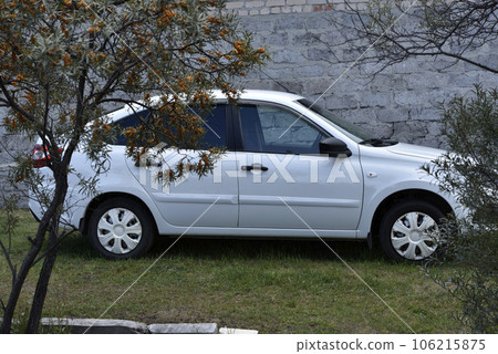 A white car in a summer garden between rowan bushes. A white car in a summer garden between rowan bushes. 106215875