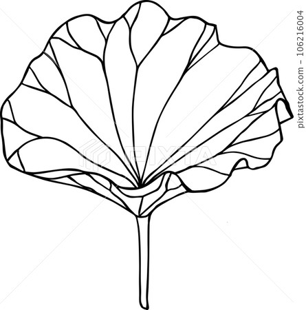 Vector lotus leaves. Floral botanical illustration. Isolated outline element. Vector hand drawing wildflower for background, texture, wrapper pattern, frame or border. 106216004