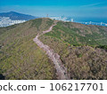 Cherry blossom road in Hwangryeongsan Mountain, Busan, South Korea, Asia 106217701