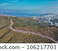 Cherry blossom road in Hwangryeongsan Mountain, Busan, South Korea, Asia 106217703