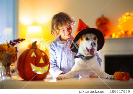 Family carving pumpkin for Halloween 106217939