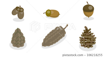 3D Isometric Flat Vector Set of Acorns And Cones 106218255