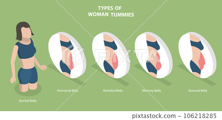 3D Isometric Flat Vector Conceptual Illustration of Types Of Woman Tummies 106218285