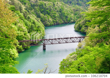 View of the No. 3 Tadami River Bridge from Takashimizu Snow Shed (Fukushima Prefecture) View of the No. 3 Tadami River Bridge from Takashimizu Snow Shed (Fukushima Prefecture) 106218704