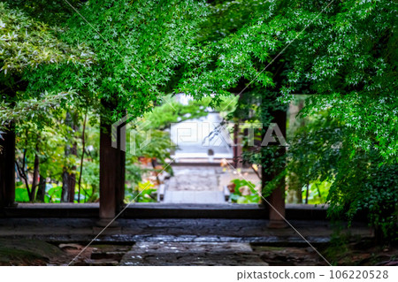Sanmon with beautiful fresh green | Sogenji Temple Sanmon with beautiful fresh green | Sogenji Temple 106220528