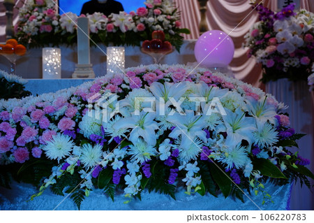 卡薩布蘭卡時尚花壇 卡薩布蘭卡時尚花壇 106220783