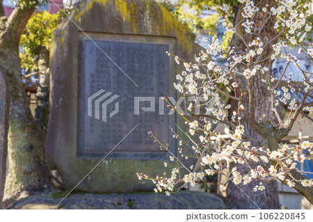 大阪天滿宮院內梅花盛開 大阪天滿宮院內梅花盛開 106220845