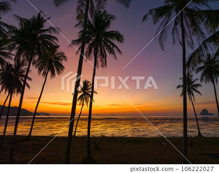 .Aerial view coconut fields in the morning glow in orange light..Orange light penetrates the horizon above the coconut forest. coconut fields in the morning glow in orange light..Laem Had Beach . .Aerial view coconut fields in the morning glow in orange light..Orange light penetrates the horizon above the coconut forest. coconut fields in the morning glow in orange light..Laem Had Beach . 106222027
