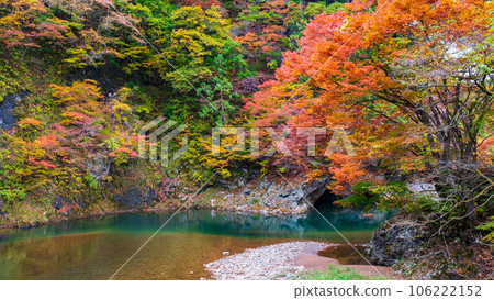 Yuze Valley (Autumn) Yuze Valley (Autumn) 106222152