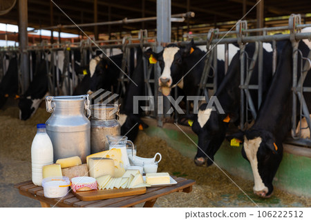 Image of dairy products on the farm Image of dairy products on the farm 106222512