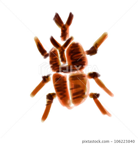 犀牛甲蟲手繪 犀牛甲蟲手繪 106223840