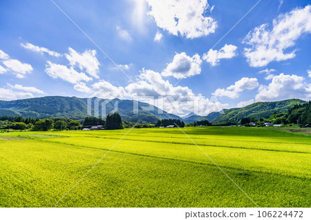 宮城縣仙台市夏季的田園風光 106224472