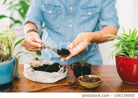 Using used coffee grounds as fertilizer 106226000