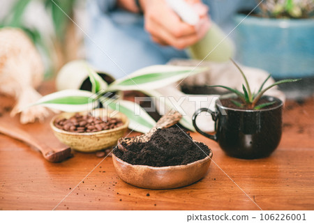 Using used coffee grounds as fertilizer Using used coffee grounds as fertilizer 106226001