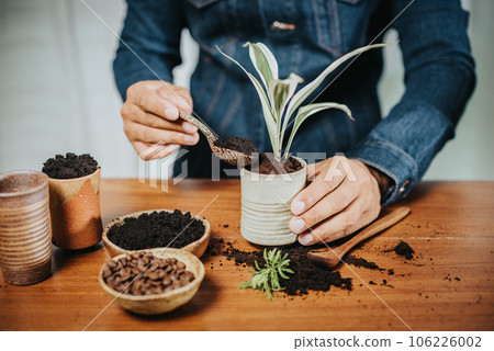 Using used coffee grounds as fertilizer Using used coffee grounds as fertilizer 106226002
