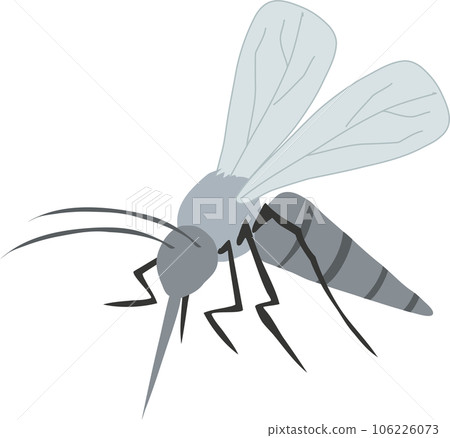 Illustration of Mosquito. Summer Bug. Disease-Carrying Mosquito. 106226073