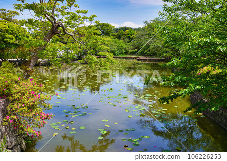 Tsurugaoka Hachimangu Shrine Genpei Pond (Kamakura City, Kanagawa Prefecture) 106226253