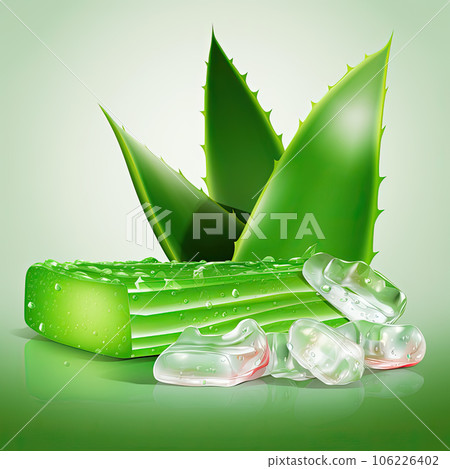 aloe vera in ice cube aloe vera in ice cube 106226402