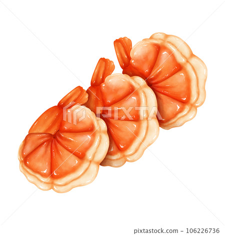 shrimp drawings on white background. shrimp drawings on white background. 106226736