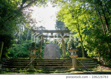 舊神社小道 舊神社小道 106226763