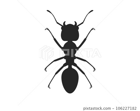 螞蟻剪影的插圖 106227182