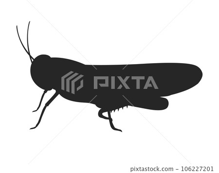 蚱蜢剪影的插圖 106227201
