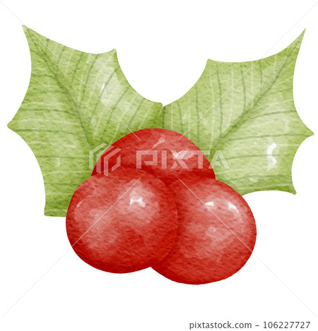 Christmas Elements Set realistic watercolor style painting 106227727