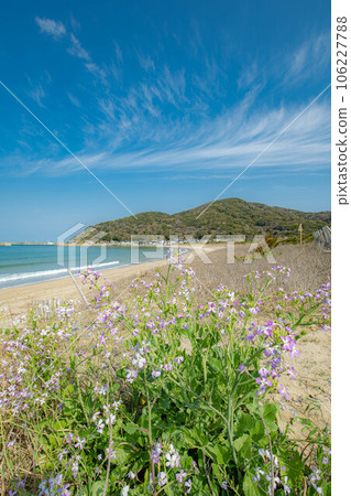coastal sandy landscape coastal sandy landscape 106227788