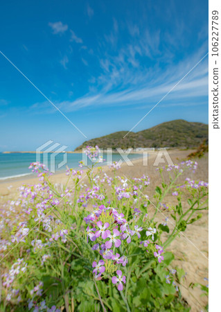 沿海沙質景觀 沿海沙質景觀 106227789