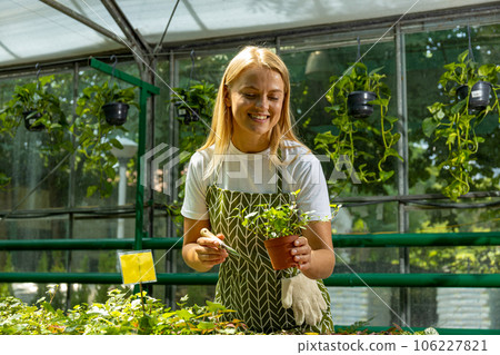 A girl with a houseplant in a greenhouse. A girl with a houseplant in a greenhouse. 106227821